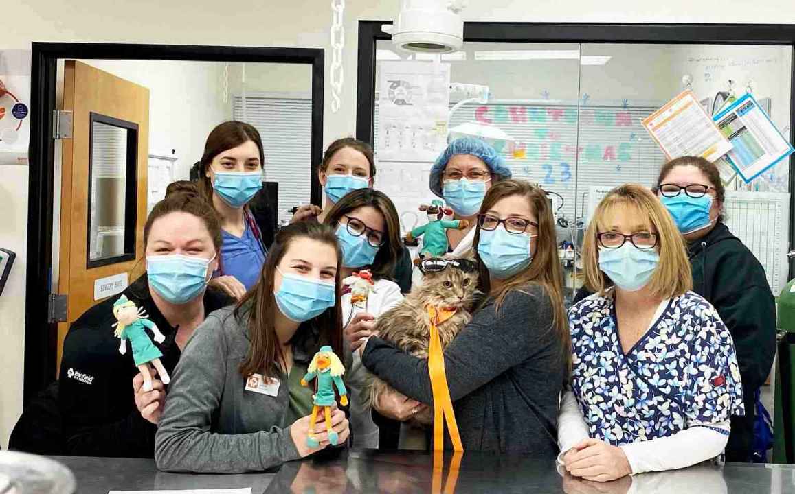 A group of Banfield Associates holding toys and a cat at the Banfield Pet Hospital