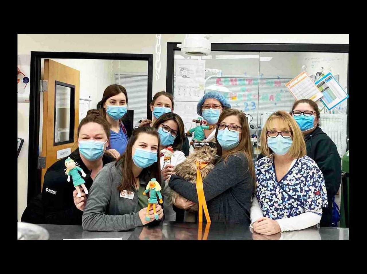 A group of Banfield Associates holding toys and a cat at the Banfield Pet Hospital