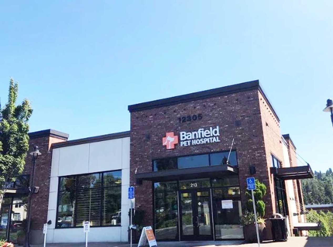 Banfield pet hospital sales progress ridge