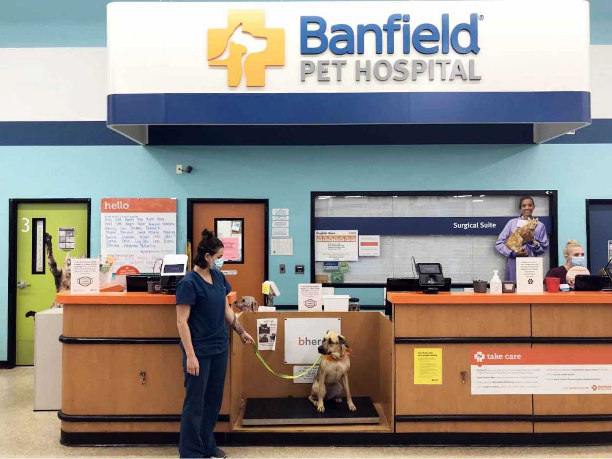 Petsmart banfield shop hospital near me