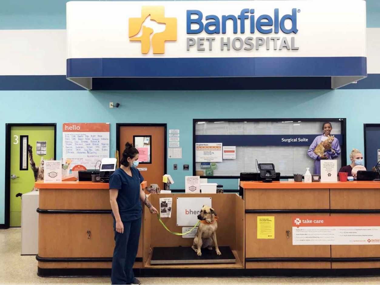The front desk of the Banfield Pet Hospital, Citadel, South Carolina