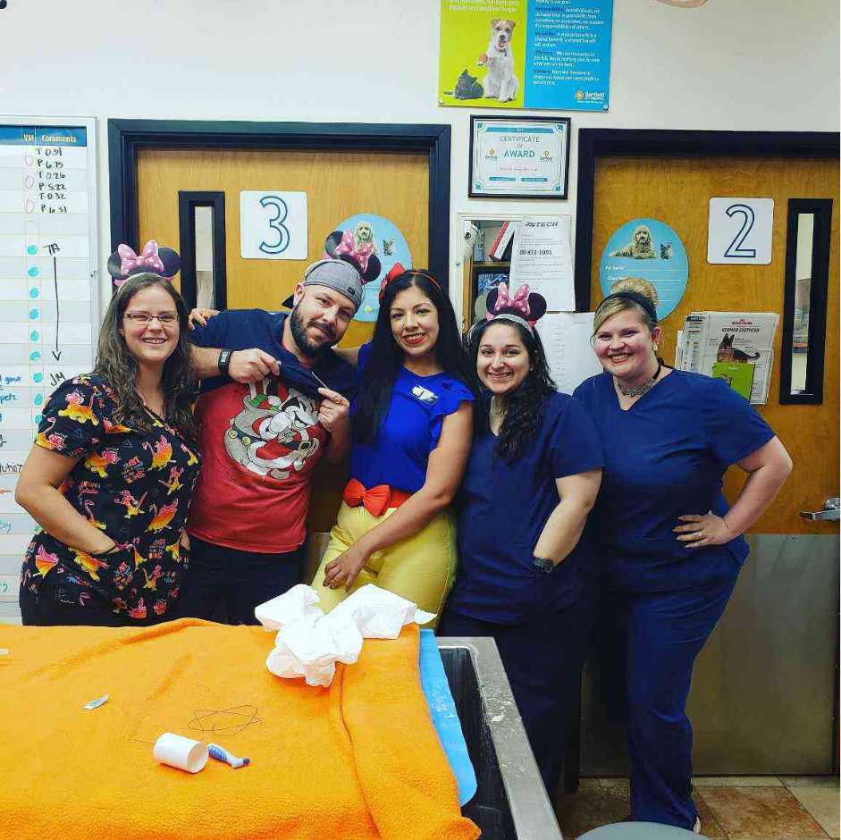 A group of associates at the Banfield Pet Hospital, Houston E, TX
