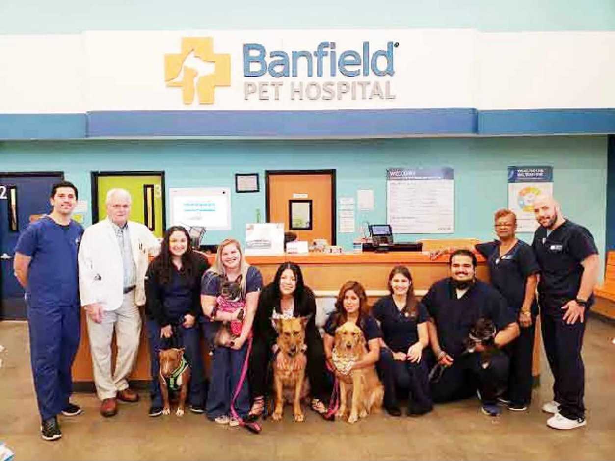 Banfield hospital pet clearance hospital