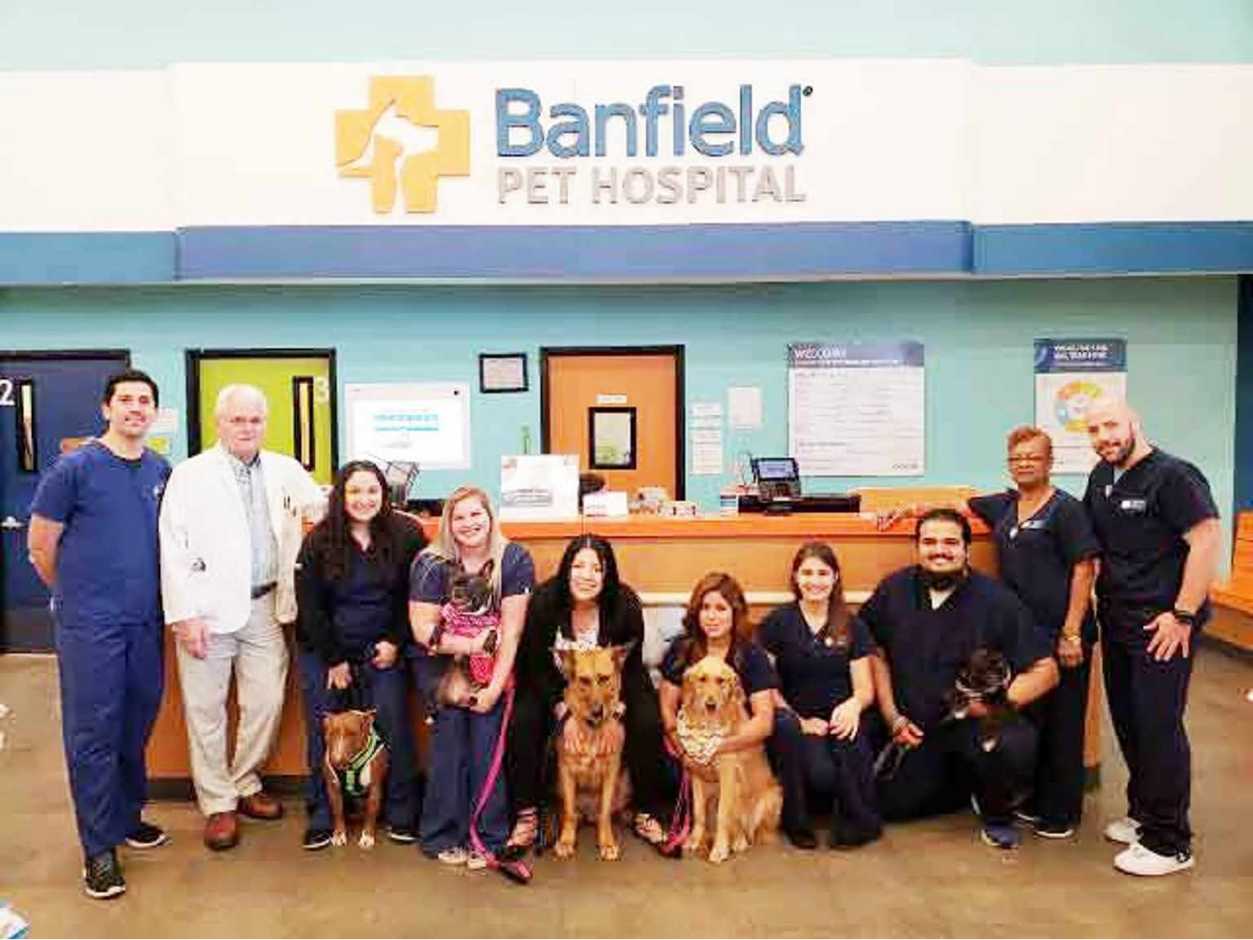 A group of associates holding dogs at the Banfield Pet Hospital, Houston E, TX