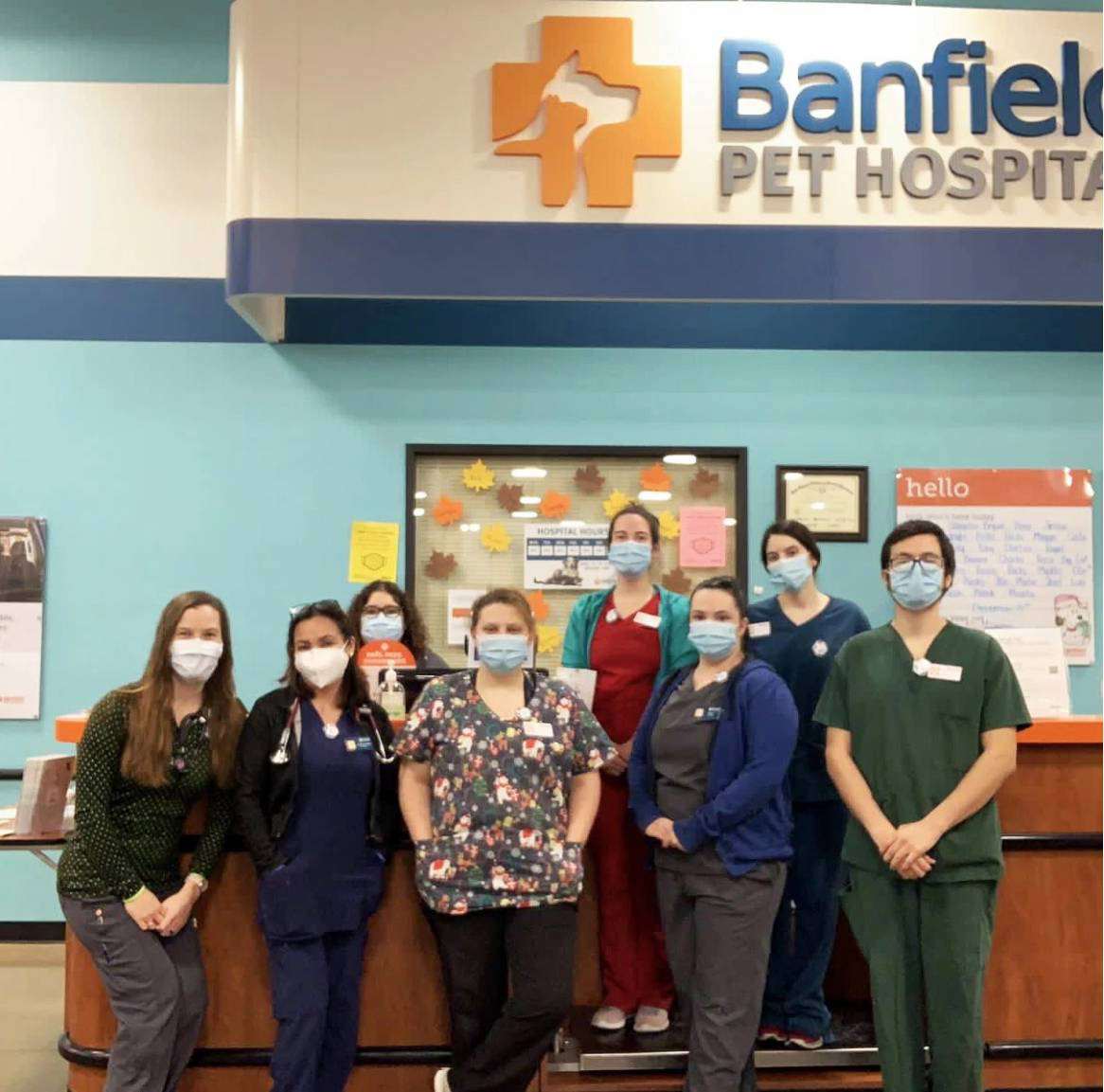 A group of associates at the Banfield Pet Hospital, Wylie, TX