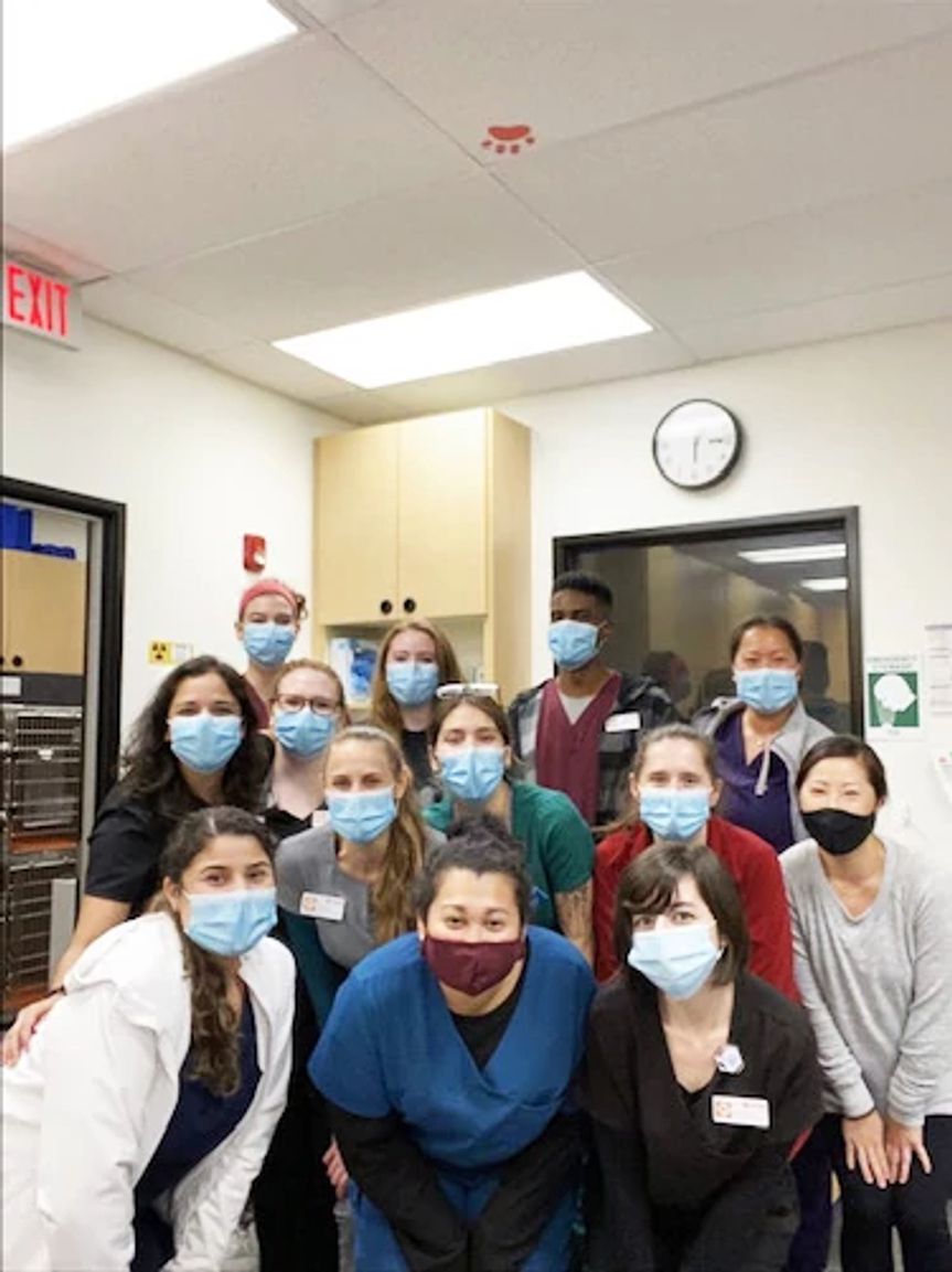 A group of associates at the Banfield Pet Hospital