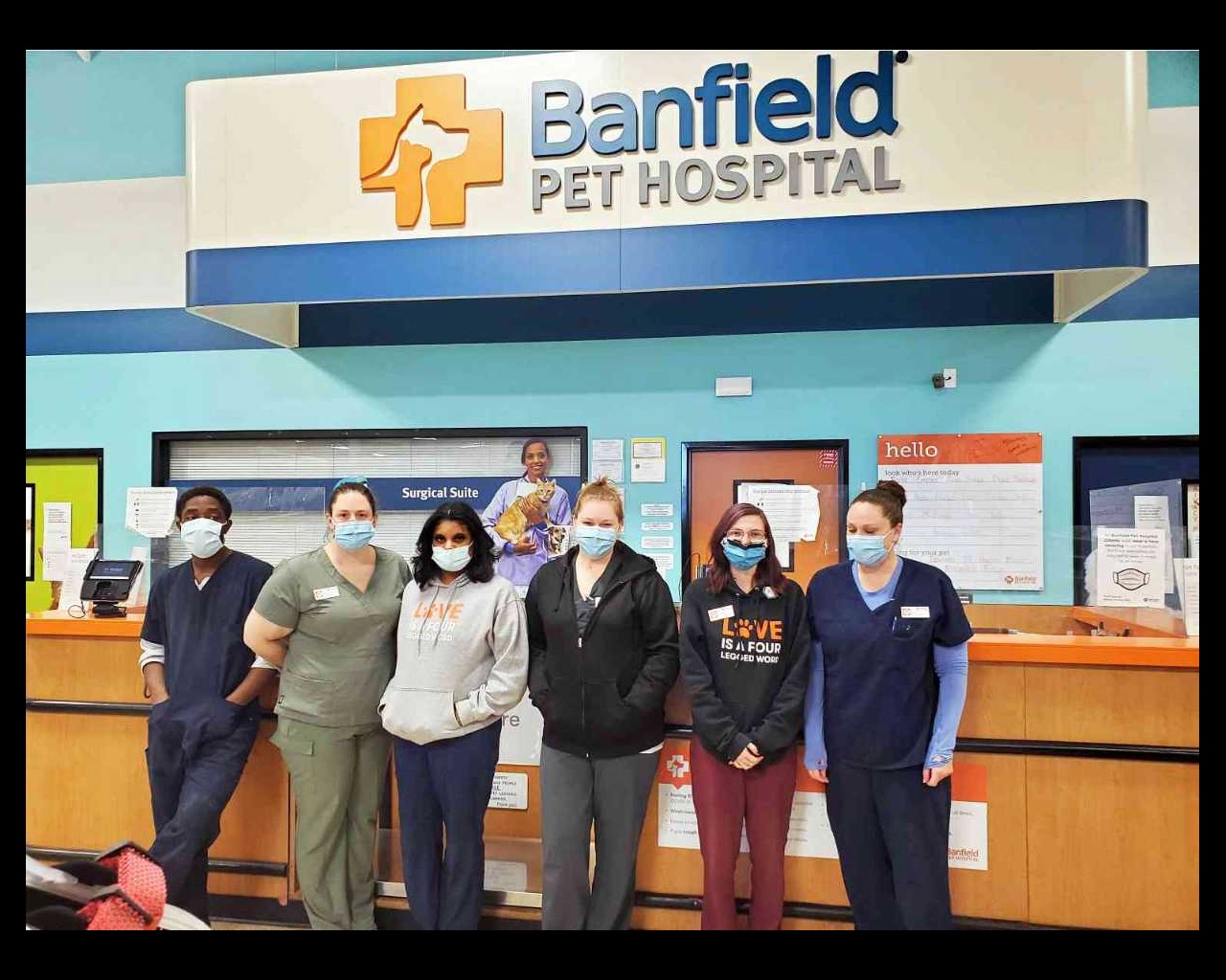 A group of associates at the Banfield Pet Hospital