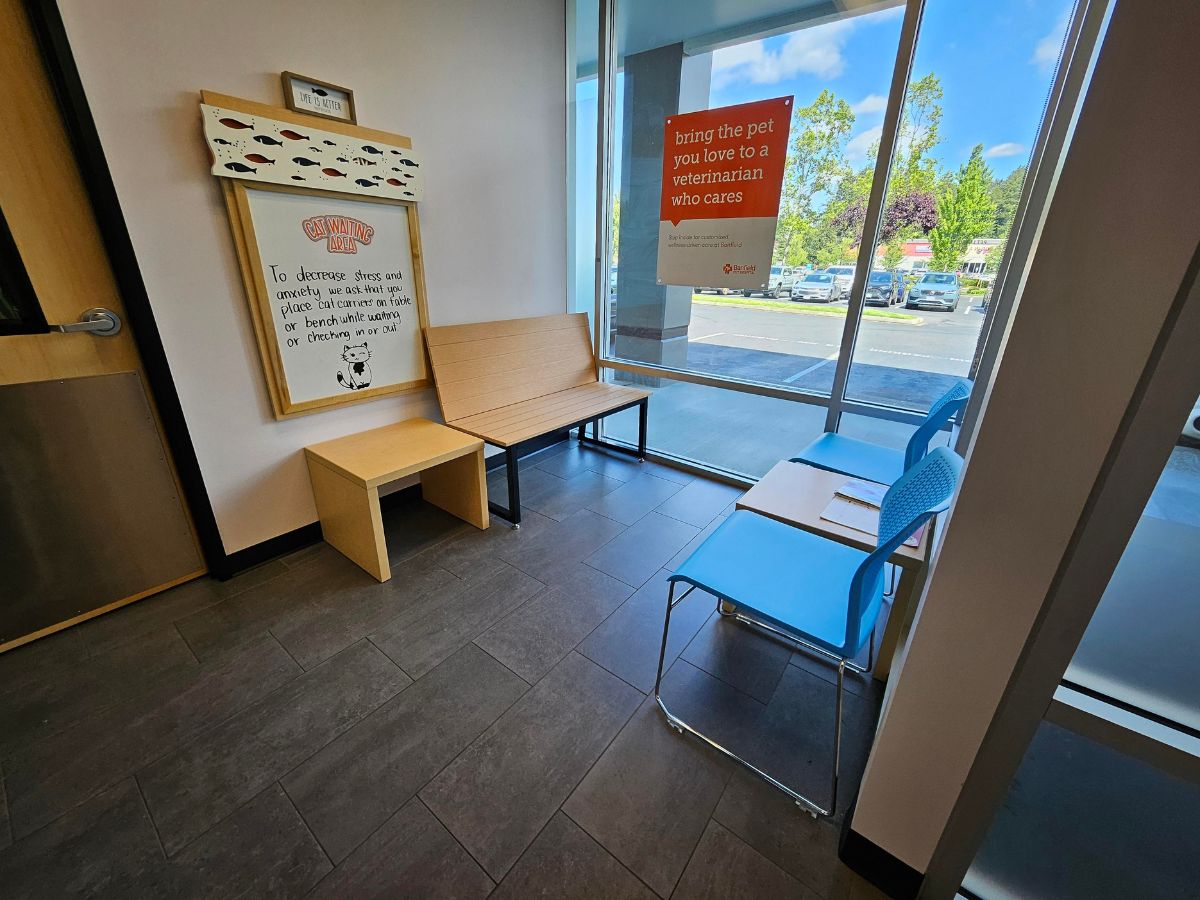 The feline friendly waiting area at Banfield Olympia