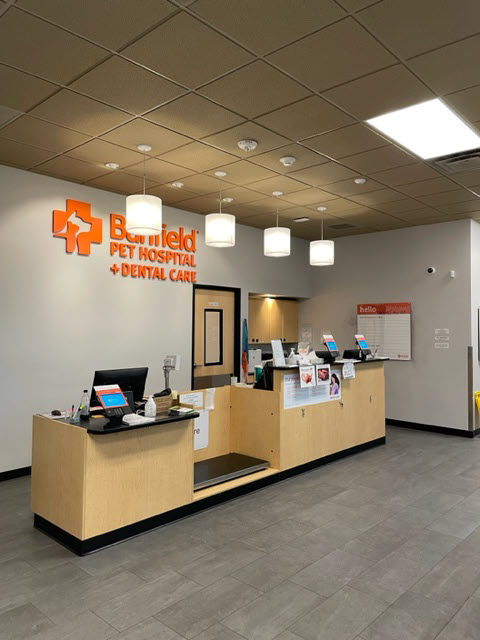 Banfield store veterinary hospital