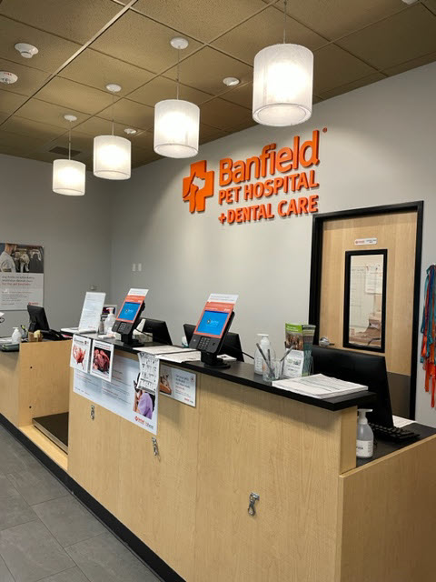 Petco banfield store