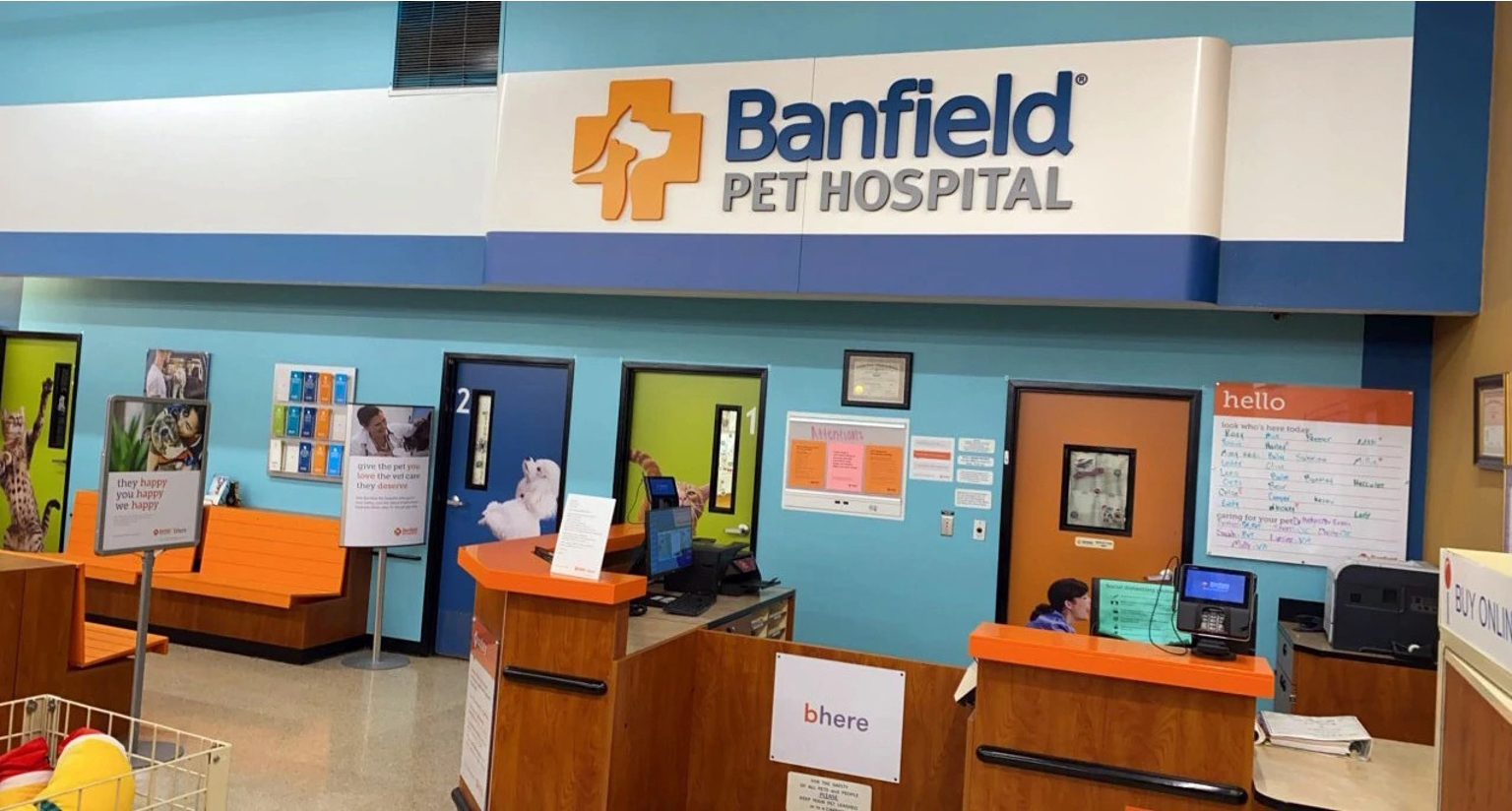 Banfield hot sale vet petsmart